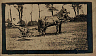 baileyplow.jpg