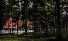 dininghallatlenapepark.jpg